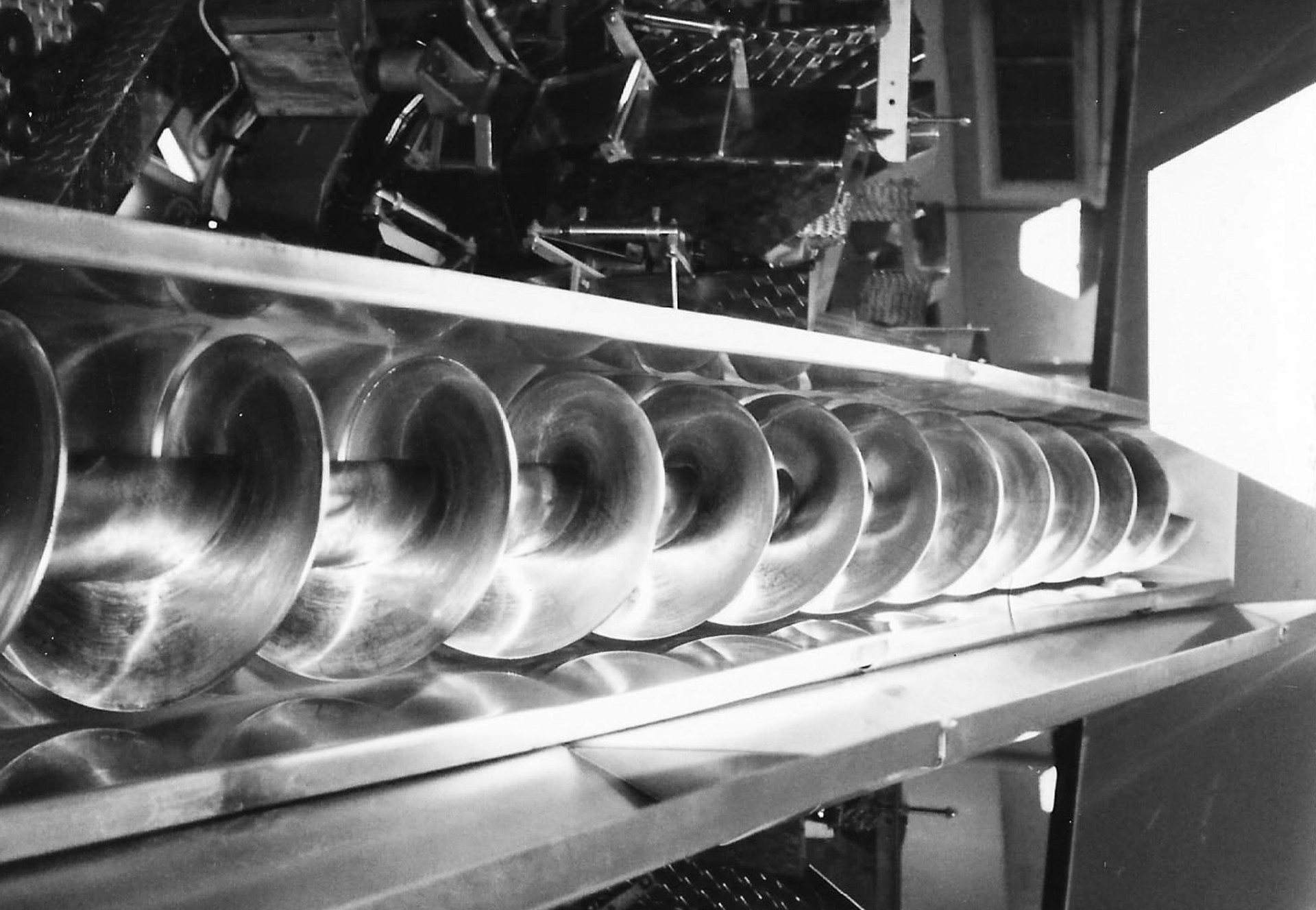 Twin stainless augers — custom food-grade conveyance
